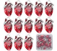 SUNNYCLUE 1 Box 30 Pieces Heart Charms Bulk Alloy Anatomical Red Enamel Metal Antique Silver Gothic 3D Organ Hearts for Jewellery Making Women DIY Necklaces Earrings Bracelets