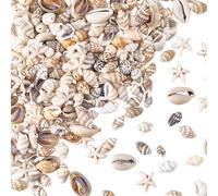 SUNNYCLUE 1 Box 300Pcs Assorted Shell Beads Mini Conch Shells Bulk Small White Summer Sea Ocean Seashell Cowire Turquoise Starfish Spacer Beads for Crafts Necklace Bracelets Earring DIY Supplies Women