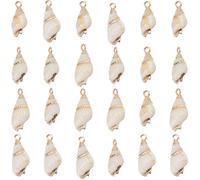 SUNNYCLUE 1 Box 30Pcs Gold Shell Charms Conch Charm Bulk Natural White Summer Ocean Theme Cowrie Seashell Golden Electroplated Pendants for Jewellery Making Charms DIY Crafting Necklace Bracelet