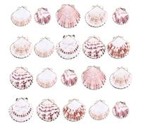 SUNNYCLUE 1 Box 30Pcs Sea Shell Charms Bulk Natural Shell Charm Colorful Summer Beach Ocean Sea Cute Plated Golden Loop Bail Scallop Charm for Jewellery Making Charms DIY Crafting Bracelets Necklaces