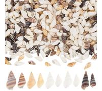SUNNYCLUE 1 Box 400Pcs 5 Styles Small Spiral Shells Natural Conch Shell Decor Summer Ocean Beach Seashells Microscope Ornaments for Home Wedding Decorations Vase Filler Fish Tank DIY Crafting Supplies