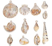 SUNNYCLUE 1 Box 48Pcs 12 Styles Conch Charms Acrylic Shells Charm Small Tawny Summer Seaside Ocean Life Simulation Seashell Charm for Jewellery Making Charms Diy Necklaces Bracelets Earrings Women