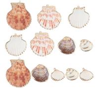 SUNNYCLUE 1 box 6 styles 24pcs Natural Shell Charms Sea Shell Charms Summer Ocean Beach Theme Shells Charm with Metal Loop for Jewellery Making Charms Birthday Party Bracelets Keychain Gifts Craft