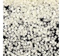 SUNNYCLUE 20G Star Paillettes Glitter Glow in The Dark Star Sequins White Luminous Holographic Five Pointed Stars Shaped Tiny Confetti Sequin for DIY Resin Crafts Nail Art Party Decoration Supplies