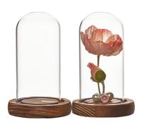 SUNNYCLUE 2Pcs Glass Dome Cover 82x133mm Glass Display Dome Glass Domes with Wood Base Glass Dome Cloche Clear Glass Display Case Glass Bottle Jars for Home Party Favors Arts Wedding Gift DIY Craft