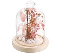 SUNNYCLUE Glass Bell Jar Cover 113x143mm Glass Bell Jar Diamond Glass Domes with Wood Base Clear Glass Dome Cover Decorative Display Case Cloche Bell Jar for Home Party Wedding Gift DIY Crafts