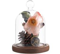 SUNNYCLUE Glass Dome with Base 92x143mm Cloche Display Dome Clear Glass Domes Glass Cloche Bell Jar Display Dome Cloche Mini Dome Glass Bell Jars for Wedding Home Plants Christmas Party Favor Decor