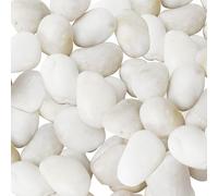 Sunnyglade 5LBS White River Rocks, 2-3 Inch Natural Pebbles for Indoor Plants, High Polished Decorative Stones Vase Filler Fish Tank Aquariums Landscaping Garden Outdoor and Indoor DIY (5 Pounds)