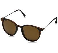 Sunoptic MP33E Montana Sunglasses Turtle/Brown