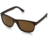Sunoptic MP48B Montana Sunglasses Turtle/Brown