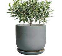 SUNPOTFOR Ceramic Planter for Indoor Outdoor Plants - Cylinder Decorative 8 Inch Plant Pot with Drainage Hole and Saucer, Modern Home Decor, Gray