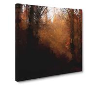 Sunrays in an Autumn Forest Canvas Print | Gallery Wrapped 30mm Frame Wall Art | 20x20 inches | Ready to Hang | Abstract Landscape Picture | Living Room Bedroom Lounge Office