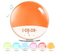 Sunrise Alarm Clock with Night Light, 8 Nature Sounds, Dimmable Display, Wake-Up Light for Babies, Adults, and Kids