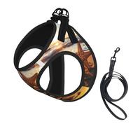 Sunrise Beach Starfish Print Pet Leash Vest Soft Adjustable Step in Puppy Vest Outdoor Walking with Leash