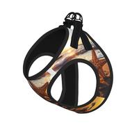 Sunrise Beach Starfish Print Pet Leash Vest Soft Adjustable Step in Puppy Vest Outdoor Walking with Leash