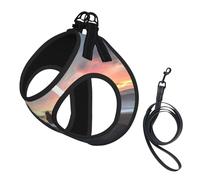 Sunrise On Reynisfjara Beach Printing Puppy Summer Vest Harness With Reflective,Dog Accessories For Small Medium Large Dogs And Cats