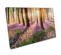 Sunrise Shining Through Tall Trees Of Majestic Fairy-tale Bluebell Forest Woodland Wall Art Print On Canvas Picture For Home Office Decor 30x20cm (12x8In)