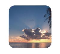 Sunrise Tropical Palm Tree Still Printed Coasters Set of 4, Tabletop Protection Leather Coasters for Cup Drinks Coffee Pads Beer Bar Mat Gifts, Square