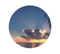 Sunrise Tropical Palm Tree Still Printed Coasters Set of 4, Tabletop Protection Leather Coasters for Cup Drinks Coffee Pads Beer Bar Mat Gifts, Round Shape