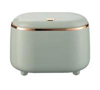 sunroot Press-Type Desktop Small Trash Can with Lid,Small Storage Bucket Tiny Desktop Waste Garbage Bin,Light Green