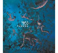 Suns Of The Tundra - Murmuration