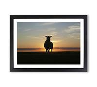 Sunset and Sheep Framed Print | A2 Black Framed Wall Art | Ready to Hang | Modern Animal Picture | Living Room Bedroom Lounge Office