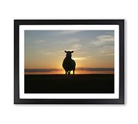 Sunset and Sheep Modern Framed Print | A2 Black Framed Wall Art | Ready to Hang | Modern Animal Picture | Living Room Bedroom Lounge Office