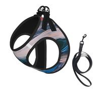 Sunset and Sunrise with Ocean Sea Waves Print Small Dog Harness with Leash Set, No Escape Easy Walk Puppy Harnesses for Training Walking