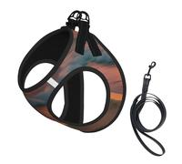 Sunset at The Beach print Dog Harness and Leash Set, Reflective Adjustable Puppy Vest for Small Medium Large Dogs, Cats