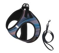 Sunset Beach Printing Dog Summer Harness With Leash Set,Adjustable And Reflective Step-In Puppy Pet Vest Harnesses