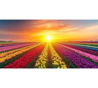 Sunset Diamond Art Landscape Diamond Painting, 5D Full Square Drill Mosaic Gem/Crystal Art Cross Stitch Embroidery Kit, DIY Arts and Crafts for Adults, Christmas Home Decor Gift 16x28 inch L-1487