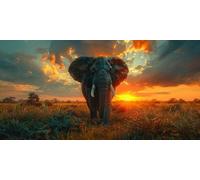 Sunset Diamond Art, Pattern Elephant Diamond Painting Kits for Adults 5D DIY Full Round Drill Gem Crystal Art Kits Crafts for Adults Beginner for Home Decor, Room Decor, Gifts 100 * 200cm -bby2603S3