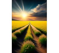 Sunset Fields Landscape Jigsaw Puzzles for Adults 300 piece, puzzle for Adults 15.7x11 inch, DIY Craft puzzles for Home Decoration Gifts,Puzzle Perfect for Game