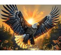 Sunset Flying Bald Eagle 300 Piece Complete Jigsaw Puzzle Set Animal Pet Teens Beginners Educational Challenge Puzzle Fans Group Play Anniversary Fathers Thick Cardboard 300 PCS/40x28cm