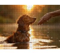 Sunset Golden Retriever Puzzle - 1500 Piece Jigsaw Puzzles for Adults - The Back Features Printed Letter Guides - The Pieces fit Together Snugly - Wooden Puzzles for Adults 34.3 X 22.4 Inch s7h-779