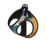 Sunset Hawaiian Palm Tree Print Dog Harness,Pet Leash Vest For Small To Medium Dogs,Perfect For Outdoor Adventures