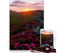 Sunset Mountain Meadow 1000 Pieces Jigsaw Puzzles for Adults Think Smart Toy Quiet Fun Accurate Cut 38x52cm
