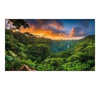 Sunset Mountain Valley Aquarium Background Tropical Jungle Rainforest Waterfall Fish Tank Background Lush Green Jungle Forest Trees Natural Landscape Reptile Tank Backgrounds Wallpaper 48x18in