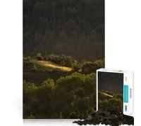 Sunset on A Spain Mountain Jigsaw Puzzles for Adults 1000 Piece Memory Boost Cozy Time Pattern Assembly Santa Wish List (38x26cm)