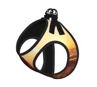 Sunset on The Beach Print Step in Dog Harness and Leash Set,Mesh Pet Vest Harness for Small Dogs and Cats