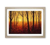 Sunset Over Autumn Forest Vol.2 H1022 Framed Print for Living Room Bedroom Home Office Décor, Wall Art Picture Ready to Hang, Oak A2 Frame (64 x 46 cm)