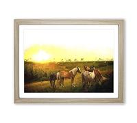Sunset Over The Horses Modern Art Framed Print | A2 Oak Framed Wall Art | Ready to Hang | Modern Animal Picture | Living Room Bedroom Lounge Office