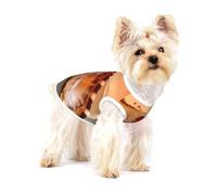 Sunset Over The Sea The Shell Conch,Cotton Sleeveless Pet T-Shirt Soft Stretchy Puppy Breathable Vest,L