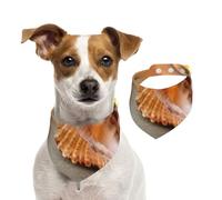 Sunset Over The Sea The Shell Conch,Dog Bandanas Cotton Pet Scarf Adjustable Bibs for Pet,L