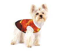Sunset panorama Premium Dog Tshirt - Soft 100% Cotton Ropa Para Perros, Perfect for Small to Medium Dogs, Stylish and Comfortable Shirts for Dogs S
