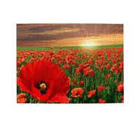 Sunset Poppy Field Adults 500 Pieces Puzzles-Jigsaw Wooden Puzzle for Adults Elderly