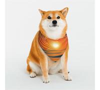 Sunset psychedelic1 Pet Scarf Stylish Triangle Bid Scarf Bandana Pet Accessory,Washable Pet Kerchief for Girl Boy Dogs or Cats Large