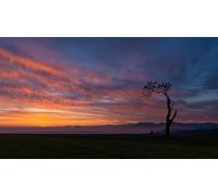 Sunset silhouette-8000-Piece Adult Puzzle Challenging Home Wall Decoration 14 years+