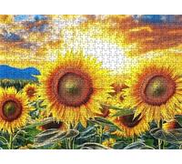 Sunset Sunflower Puzzle - 5000 Piece Jigsaw Puzzles for Adults - The Back Features Printed Letter Guides - The Pieces fit Together Snugly - Wooden Puzzles for Adults - Gifts Man 61.6 X 41.5 In s7h-91