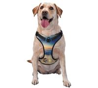 Sunset View on The Beach Shore Printed quick release dog harness reflective pet vest with 2 quick release buckles 4 sizes L ideal for outdoor walks and hikes